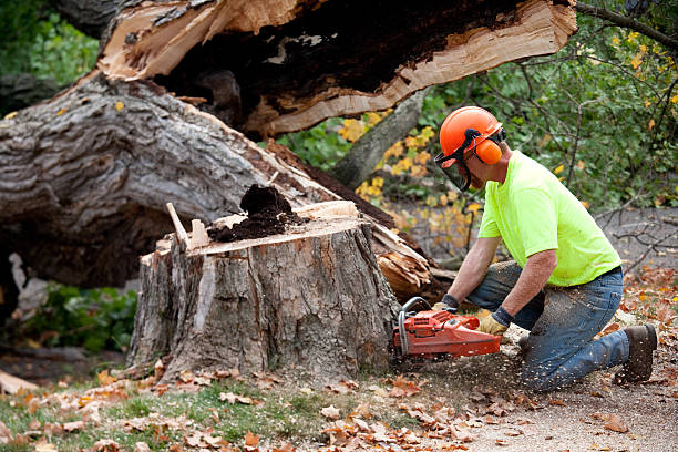 Best Aeration Services  in St Albans, VT